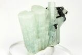 Aquamarine Crystal Spray - Erongo Mountains, Namibia #208026-4